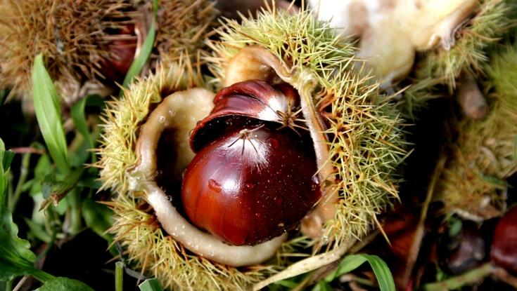 Les produits du mois d'Octobre